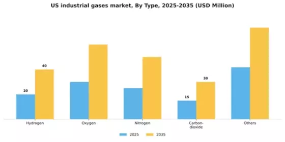 US Industrial Gases Market Segment Image 1