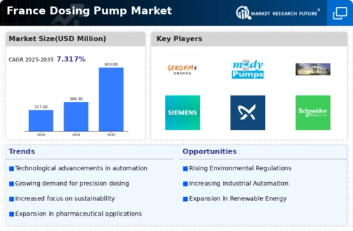France Dosing Pump Market Infographic