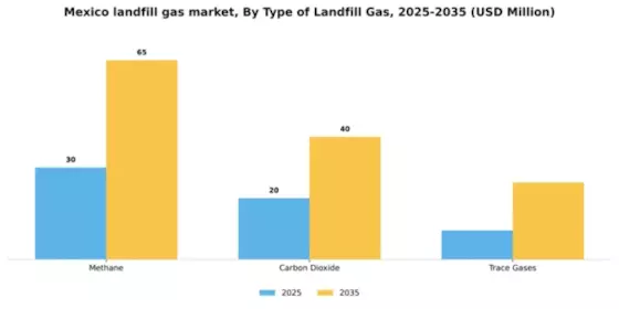 Mexico Landfill Gas Market Segment Image 3