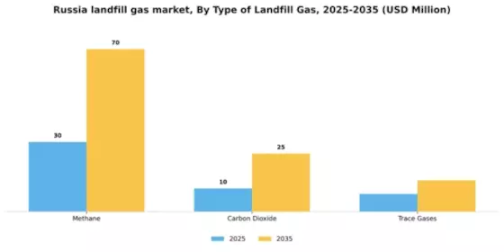 Russia Landfill Gas Market Segment Image 3
