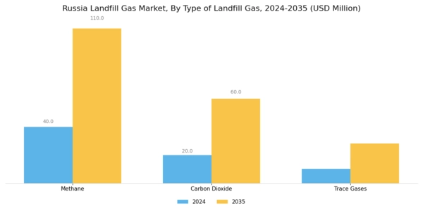 Russia Landfill Gas Market Segment Image 1