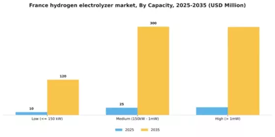 France Hydrogen Electrolyzer Market Segment Image 0