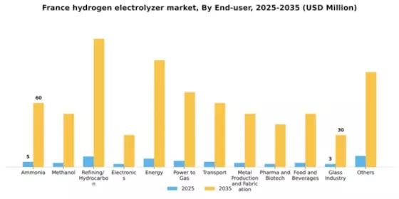 France Hydrogen Electrolyzer Market Segment Image 1