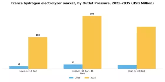 France Hydrogen Electrolyzer Market Segment Image 2