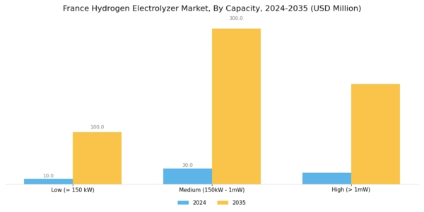 France Hydrogen Electrolyzer Market Segment Image 1