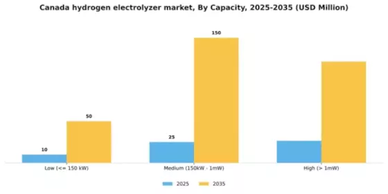 Canada Hydrogen Electrolyzer Market Segment Image 0