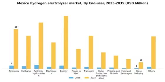 Mexico Hydrogen Electrolyzer Market Segment Image 1