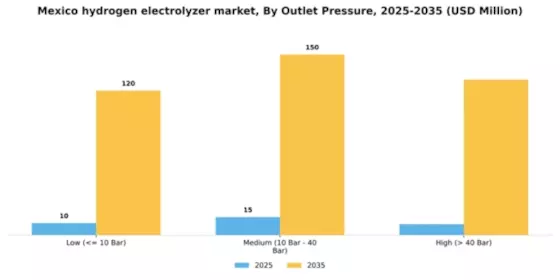 Mexico Hydrogen Electrolyzer Market Segment Image 2