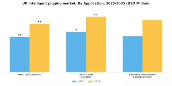UK Intelligent Pigging Market Segment Image 0