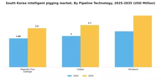 South Korea Intelligent Pigging Market Segment Image 1