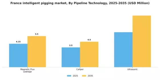 France Intelligent Pigging Market Segment Image 1