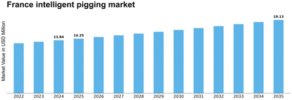France Intelligent Pigging Market Size