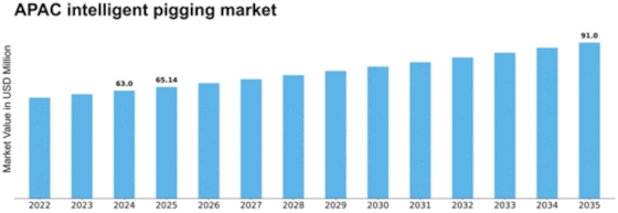 APAC Intelligent Pigging Market Size