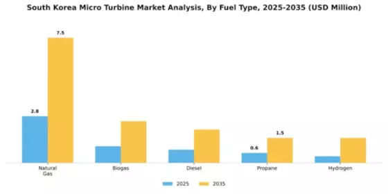 South Korea Micro Turbine Market Segment Image 2