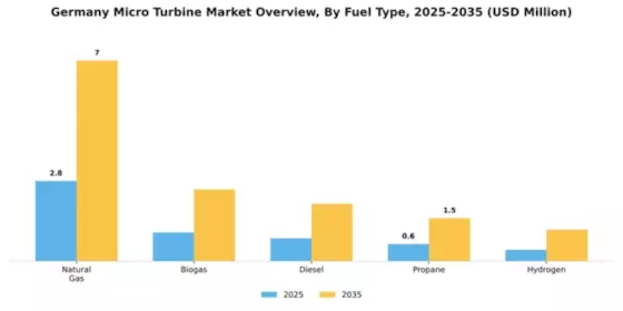 Germany Micro Turbine Market Segment Image 2