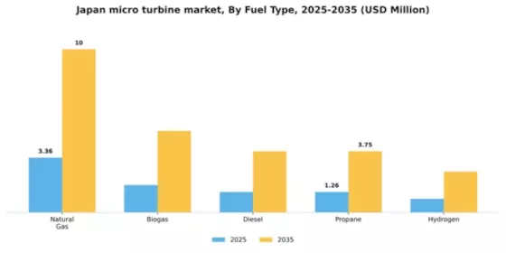 Japan Micro Turbine Market Segment Image 2