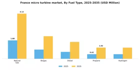 France Micro Turbine Market Segment Image 2