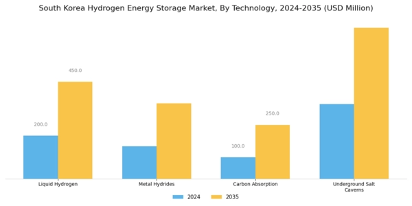 South Korea Hydrogen Energy Storage Market Segment Image 0