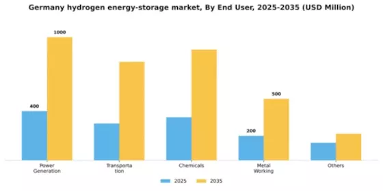 Germany Hydrogen Energy Storage Market Segment Image 0