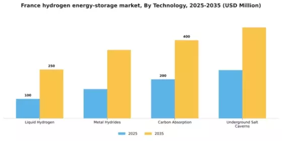 France Hydrogen Energy Storage Market Segment Image 1