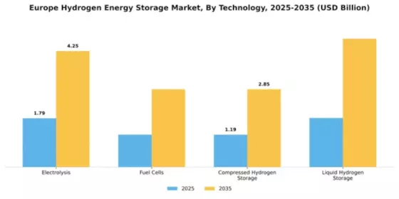 Europe Hydrogen Energy Storage Market Segment Image 2