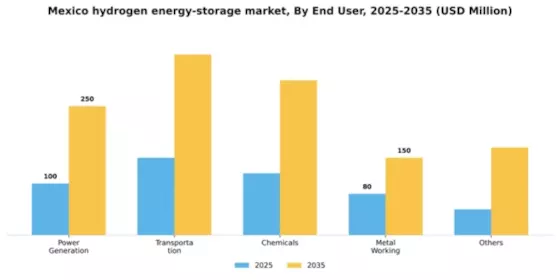 Mexico Hydrogen Energy Storage Market Segment Image 0