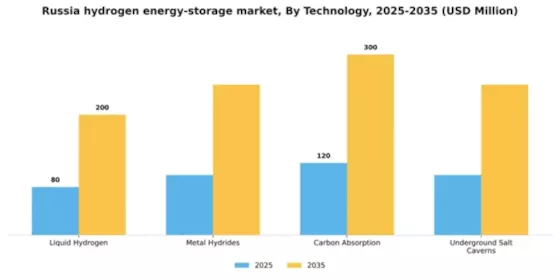 Russia Hydrogen Energy Storage Market Segment Image 1