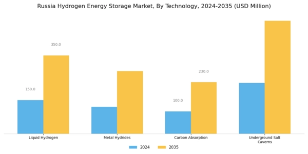 Russia Hydrogen Energy Storage Market Segment Image 0