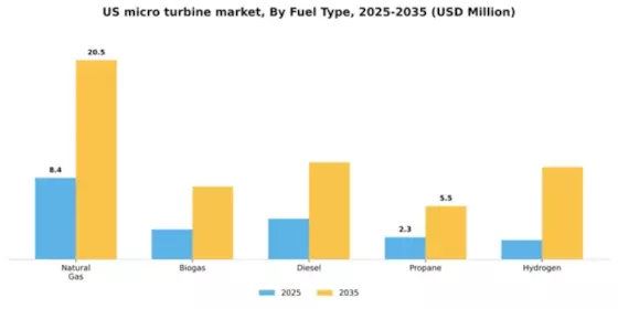 US Micro Turbine Market Segment Image 2