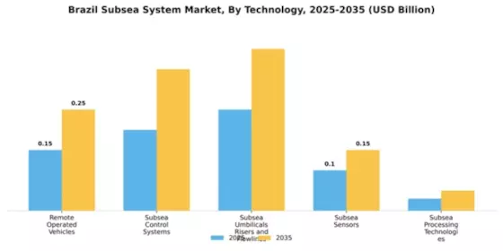Brazil Subsea System Market Segment Image 4