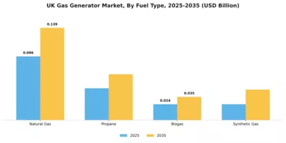 UK Gas Generator Market Segment Image 2