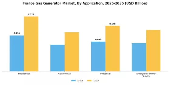 France Gas Generator Market Segment Image 0