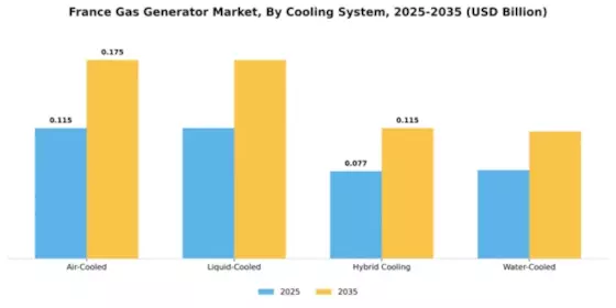 France Gas Generator Market Segment Image 1