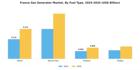 France Gas Generator Market Segment Image 2