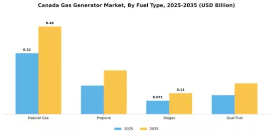 Canada Gas Generator Market Segment Image 2