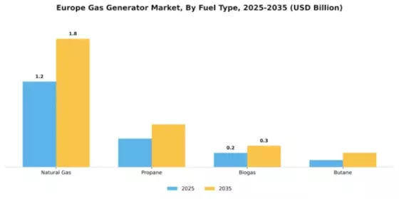 Europe Gas Generator Market Segment Image 2