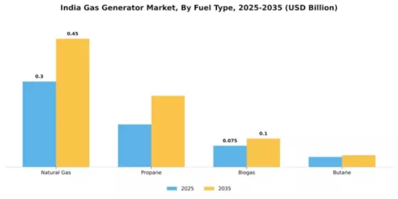 India Gas Generator Market Segment Image 3