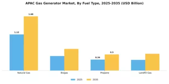 APAC Gas Generator Market Segment Image 2
