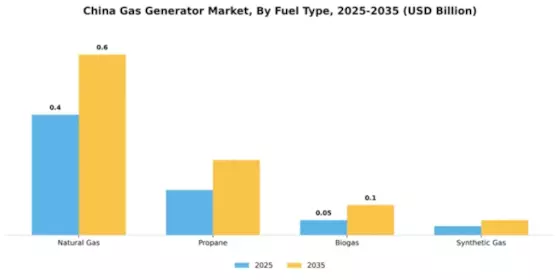 China Gas Generator Market Segment Image 3