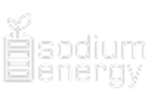 Russia Sodium Ion Battery Market key player