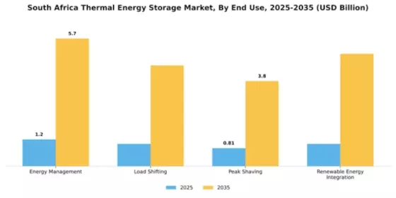 South Africa Thermal Energy Storage Market Segment Image 1