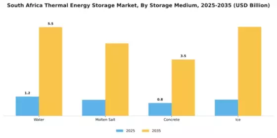 South Africa Thermal Energy Storage Market Segment Image 2