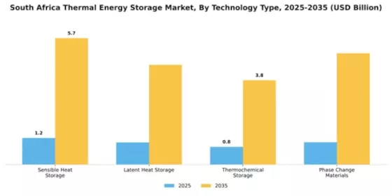 South Africa Thermal Energy Storage Market Segment Image 4