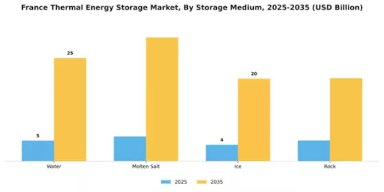 France Thermal Energy Storage Market Segment Image 2
