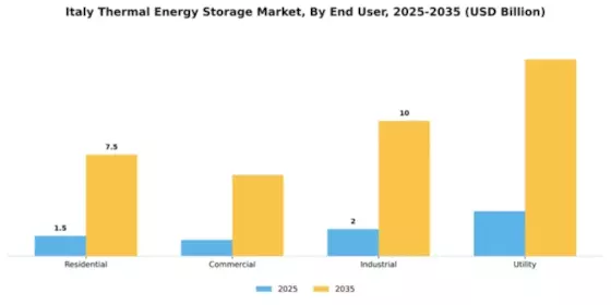 Italy Thermal Energy Storage Market Segment Image 1