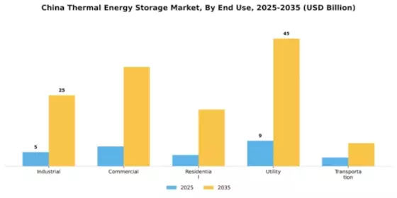 China Thermal Energy Storage Market Segment Image 1