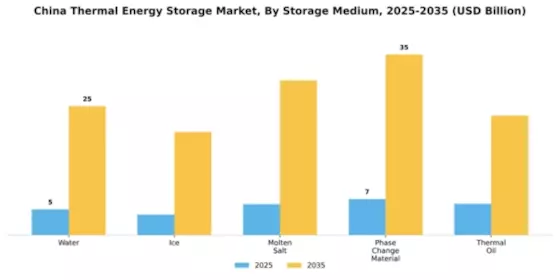 China Thermal Energy Storage Market Segment Image 2