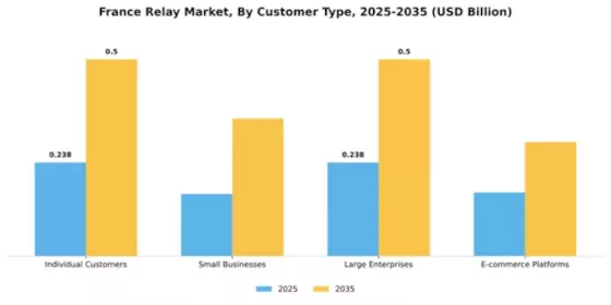France Relay Market Segment Image 0