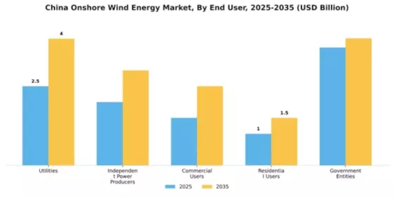 China Onshore Wind Energy Market Segment Image 1