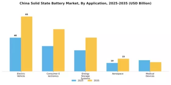 China Solid State Battery Market Segment Image 0